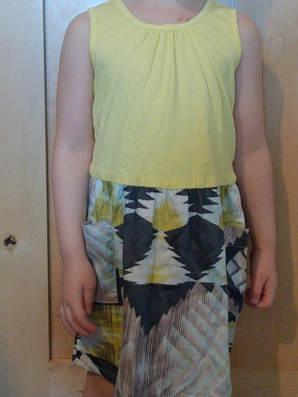 Anthem of the Ants Dress with pockets
